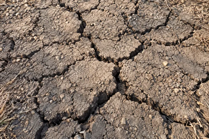 Dry clay soil split by wide shrinkage cracks